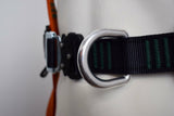 ARESTA 2 Point Comfort Plus Safety Harness - AR+01130