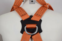 ARESTA Malham Rescue Safety Harness - AR-01025